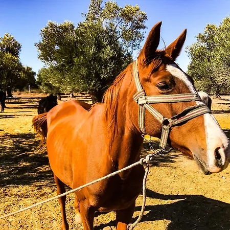 Simlarda Aquapark Séjour à la ferme